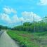 Terreno (Parcela) en venta en Uman, Yucatán, Uman