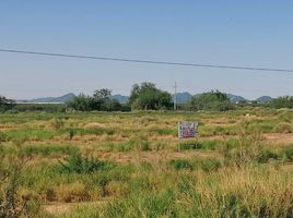  Terreno (Parcela) en venta en San Miguel De Horcasitas, Sonora, San Miguel De Horcasitas