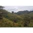  Land for sale in Chiriqui, Rincon, Gualaca, Chiriqui