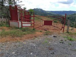  Land for sale in Chiriqui, Rincon, Gualaca, Chiriqui