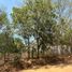  Land for sale in Dist Pochutla, Oaxaca, Dist Pochutla