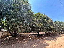  Land for sale in Dist Pochutla, Oaxaca, Dist Pochutla