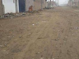  Land for sale in Carabayllo, Lima, Carabayllo, Lima, Lima