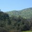  Land for sale in Chile, Santiago, Santiago, Santiago, Chile