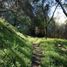  Land for sale in Chile, Santiago, Santiago, Santiago, Chile