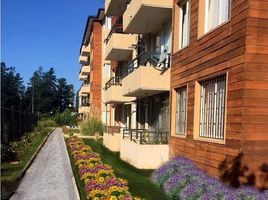 2 Bedroom Condo for rent in Chile, Valparaiso, Valparaiso, Valparaiso, Chile