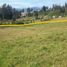  Land for sale in Valle, Cuenca, Valle