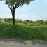  Terrain for sale in Lakarsantri, Surabaya, Lakarsantri