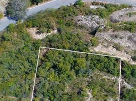  Terreno (Parcela) en venta en Santiago, Nuevo León, Santiago