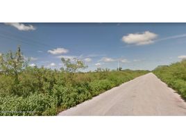  Grundstück zu verkaufen in Muxupip, Yucatan, Muxupip