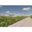 Land for sale in Muxupip, Yucatan, Muxupip