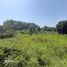  Land for sale in San Blas Nayarit, San Blas