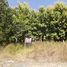  Land for sale in San Blas Nayarit, San Blas