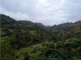 Terrain à vendre à Retiro, Antioquia, Retiro