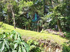  Land for sale in Jaramillo, Boquete, Jaramillo