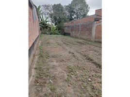  Land for sale in Salento, Quindio, Salento