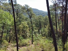  Terreno (Parcela) en venta en Mazamitla, Jalisco, Mazamitla