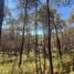  Terreno (Parcela) en venta en Mazamitla, Jalisco, Mazamitla
