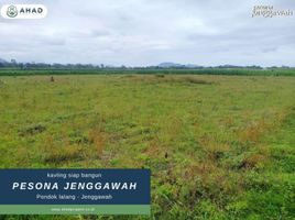  Land for sale in Jenggawah, Jember, Jenggawah