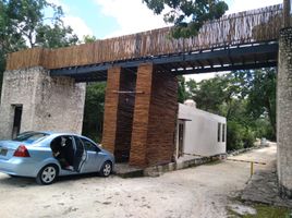  Grundstück zu verkaufen in Cozumel, Quintana Roo, Cozumel