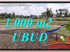  Land for sale in Ubud, Gianyar, Ubud