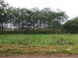  Land for sale in East Jawa, Kidung Kandang, Malang Regency, East Jawa