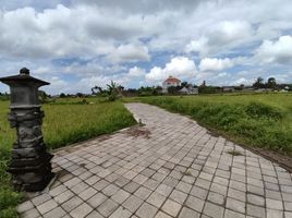 Grundstück zu verkaufen in Ginyar, Bali, Ginyar