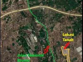  Land for sale in Probolinggo, East Jawa, Tongas, Probolinggo