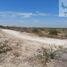  Terrain for sale in Piura, Castilla, Piura, Piura