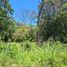  Land for sale in Alto Boquete, Boquete, Alto Boquete