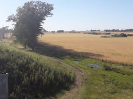  Terrain for sale in Uruguay, Entre Rios, Uruguay