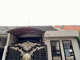 2 Schlafzimmer Haus zu verkaufen in Tambaksari, East Jawa, Tambaksari