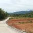  Land for sale in Jin De Yuan Temple, Tambora, Grogol Petamburan