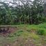  Land for sale in Bantul, Yogyakarta, Banguntapan, Bantul