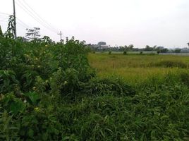  Land for sale in Singosari, Malang Regency, Singosari