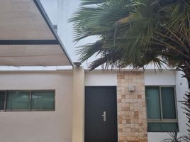 3 chambre Maison for rent in Yucatan, Conkal, Yucatan