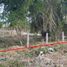  Land for sale in San Blas Nayarit, San Blas