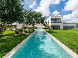  Grundstück zu verkaufen in Yaxkukul, Yucatan, Yaxkukul, Yucatan