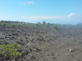  Terrain for sale in Gangga, Lombok Barat, Gangga