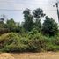  Land for sale in Darangdan, West Jawa, Darangdan, Purwakarta