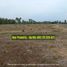  Land for sale in Kalianda, Lampung, Kalianda, Lampung Selatan, Lampung