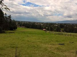  Land for sale in Tumbaco, Pichincha, Tumbaco, Quito, Pichincha