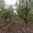 4 Bedroom House for sale in Guerrero Chihuahua, Guerrero