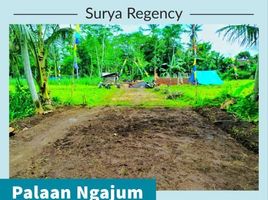  Land for sale in Ngajum, Malang Regency, Ngajum