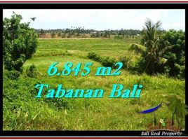  Land for sale in Selemadeg, Tabanan, Selemadeg