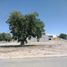  Grundstück zu verkaufen in Torreon, Coahuila, Torreon