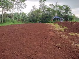  Land for sale in Pekalongan, Jawa Tengah, Kajem, Pekalongan