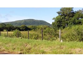  Land for sale in Canaveral, Penonome, Canaveral