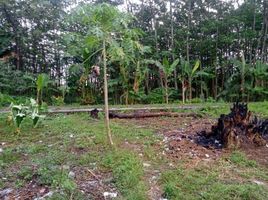  Land for sale in Bantul, Yogyakarta, Banguntapan, Bantul