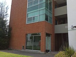 35 m² Office for rent in Mexico, Toluca, Mexico